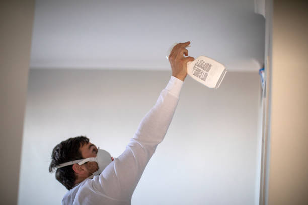 Best Professional Mold Removal  in Reinbeck, IA