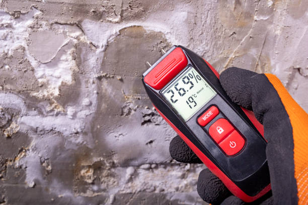 Professional Mold Removal in Reinbeck, IA