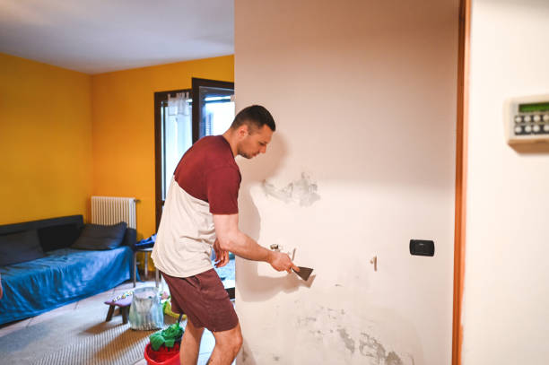 Best Office Mold Removal Services  in Reinbeck, IA